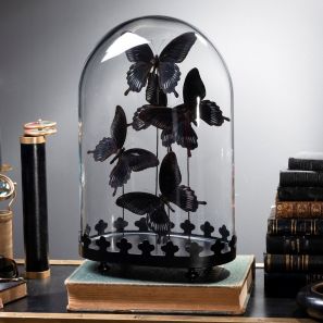 Objets de curiosit&eacute;